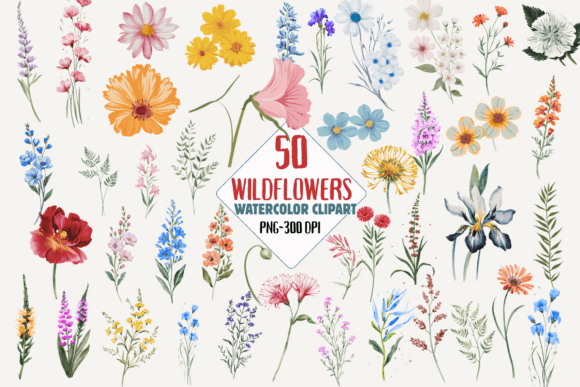 Download Wildflower Watercolor Clipart PNG Bundle - Wildflower watercolor clipart Collection