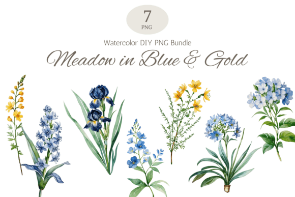 Download Blue Botanical Watercolor Floral Bundle - Botanical Collection