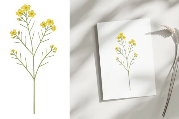Download Minimal Yellow Flower Botanical PNG - Botanical Collection