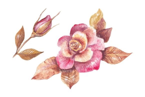 Download Golden Tea Rose - Watercolor Png Art - Tea rose Collection