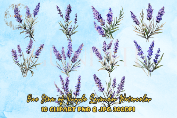 Download One Stem of Purple Lavender Watercolor - Purple lavender Collection